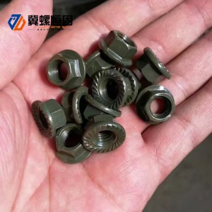 Flange nut