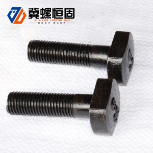 T bolt T head bolt