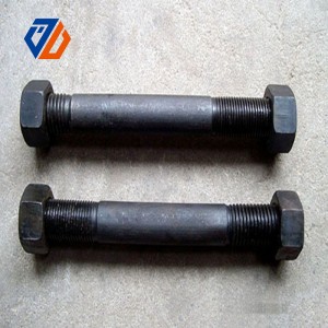 Double-Headed Screw