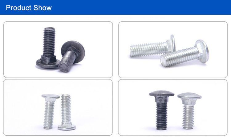 carriage-bolt-show