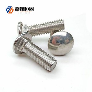 M6 M8 Round Head Carriage Bolts