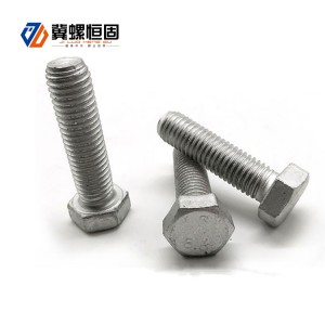 High Tensile Hot Dip Galvanized Hexagon Bolt