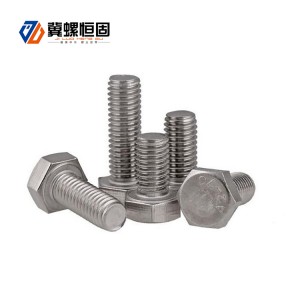 M6 M8 High Strength Hex Bolts