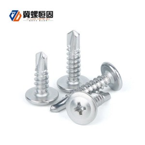 Large flat round head drill screw