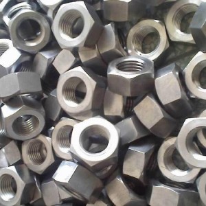 Stainless Steel Nut