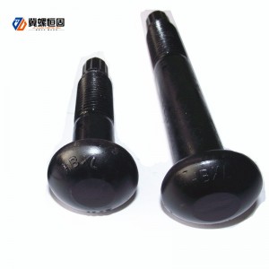 Steel structure torsion shear bolts