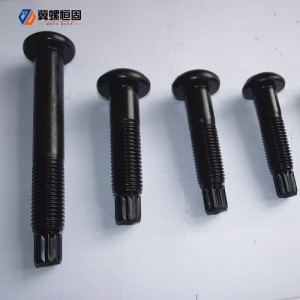 Steel structure torsion shear bolts