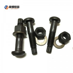 Steel structure torsion shear bolts