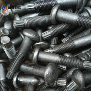 Steel structure torsion shear bolts