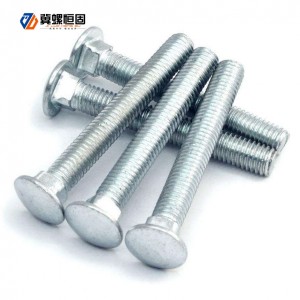 Carriage Bolt